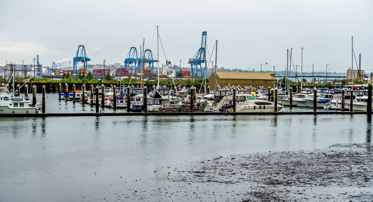 Marina with moored boats and port cranes behind